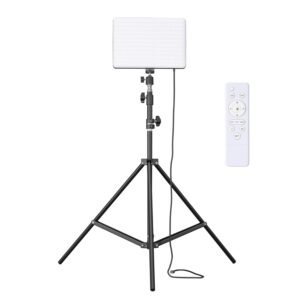 Studio Light with Stand